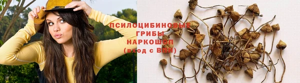 наркотики Алзамай