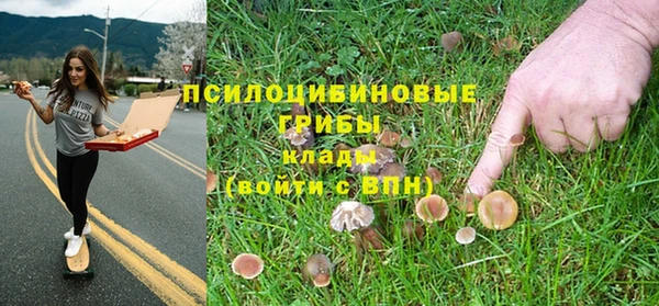 кокаин Алексеевка