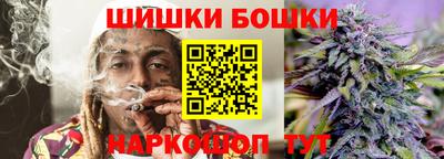 гашик Гатчина