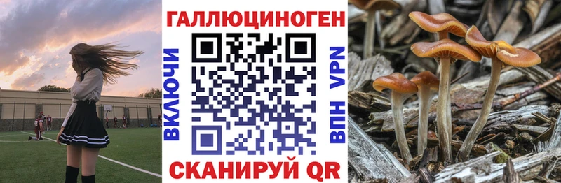 наркотики  МЕГА   Псилоцибиновые грибы Psilocybe  Павловский Посад 