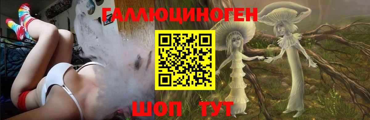 сколько стоит  Псилоцибиновые грибы GOLDEN TEACHER  Вход с VPN  Павловский Посад 