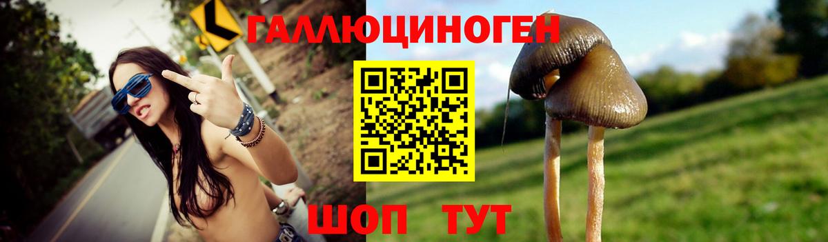 Псилоцибиновые грибы мицелий Павловский Посад